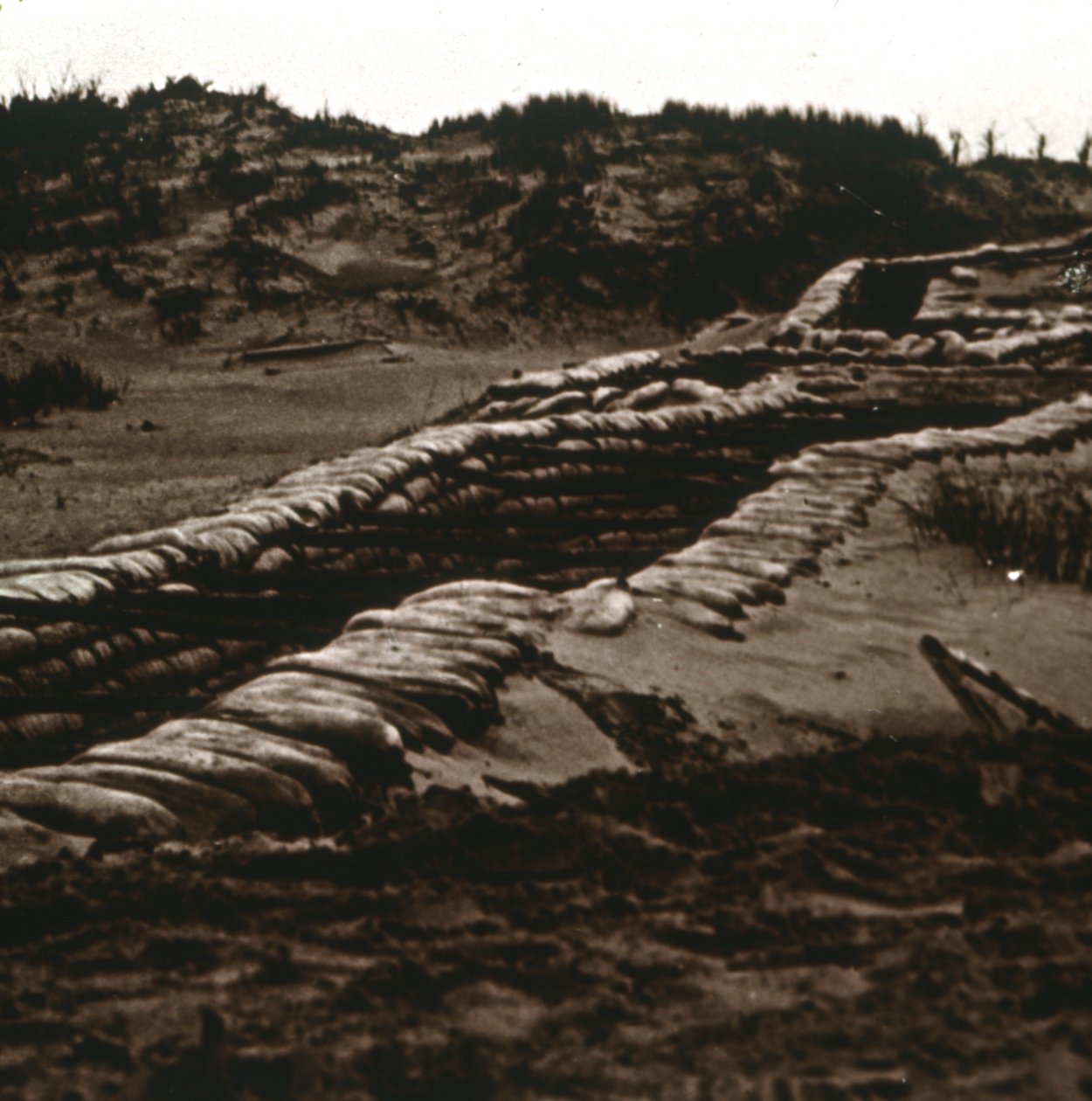Loopgraven in de Schaduw van de Duinen, Nieuwpoort, Vlaanderen, België door Unbekannt