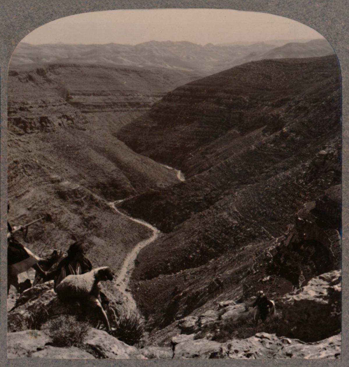 Vallei van de Arno, herder en schapen op de voorgrond, ca. 1900 door Unbekannt