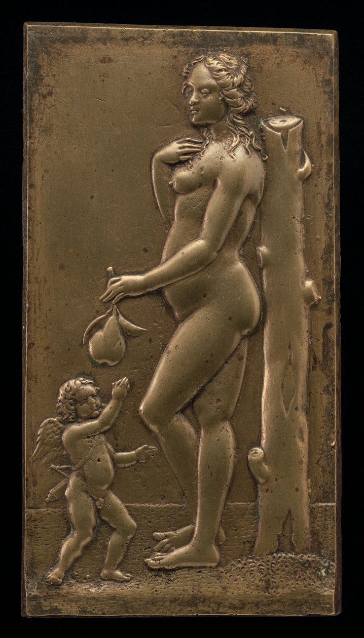 Venus en Cupido door Unbekannt