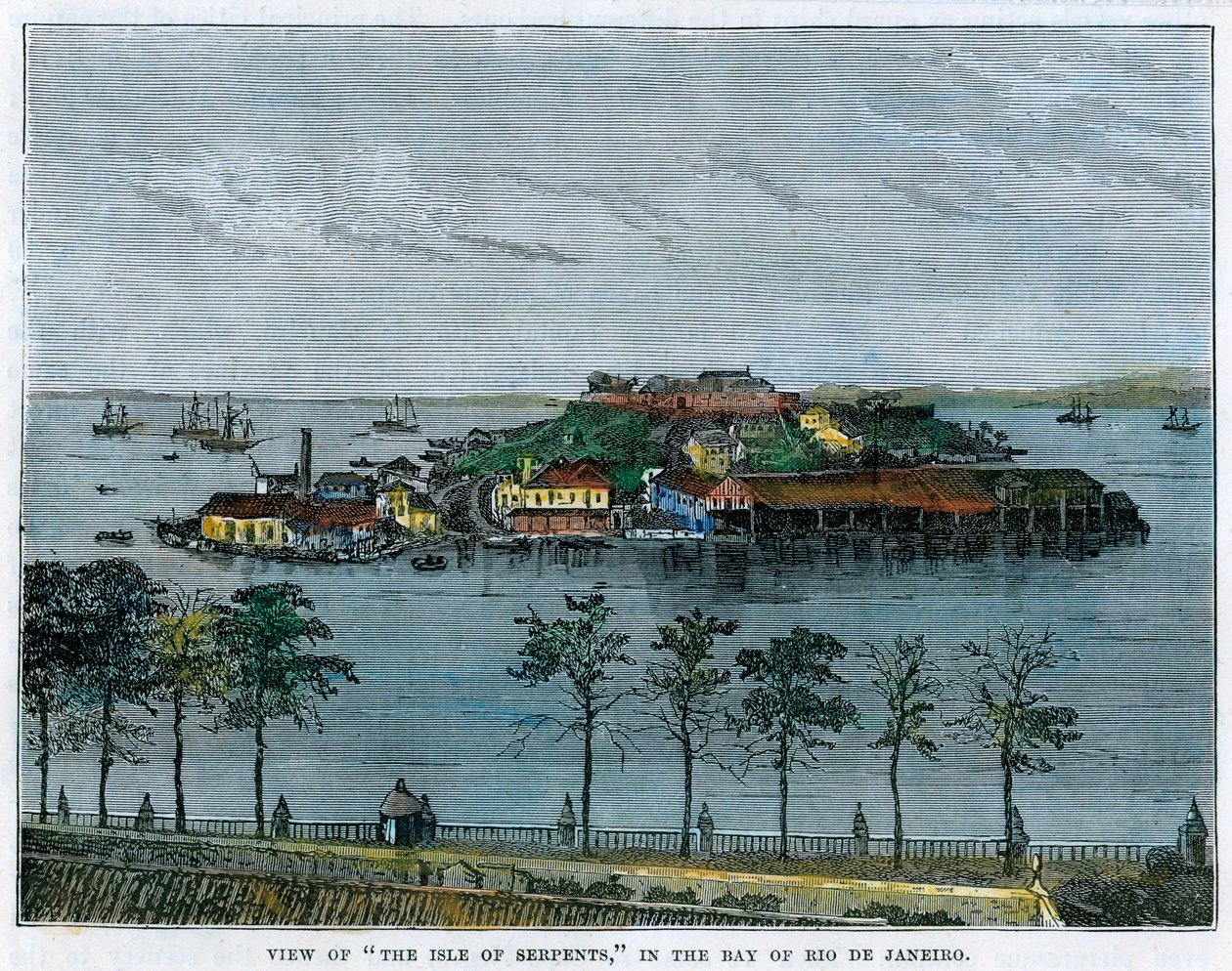 Uitzicht op het eiland Serpents, in de baai van Rio de Janeiro, Brazilië, ca. 1880 door Unbekannt