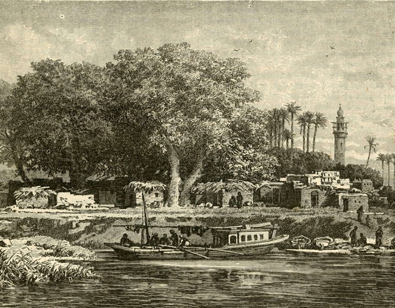 Uitzicht op de delta van de Nijl, 1890 door Unbekannt