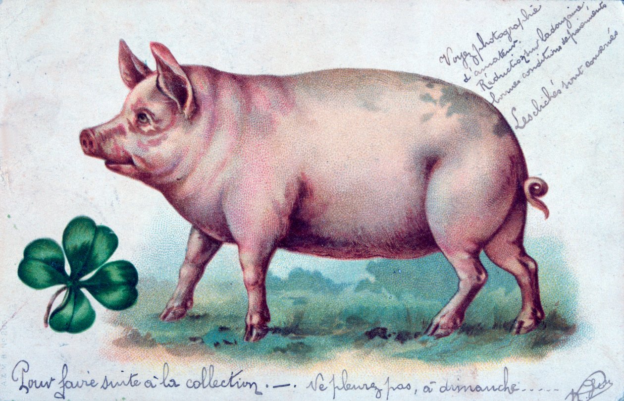 Vintage Franse ansichtkaart, c. 1900 door Unbekannt