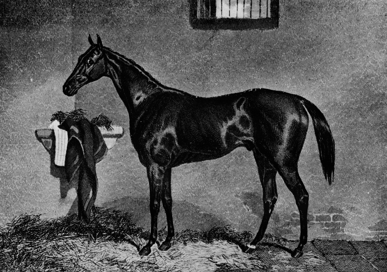 Voltigeur, 1847-1874, 1911 door Unbekannt