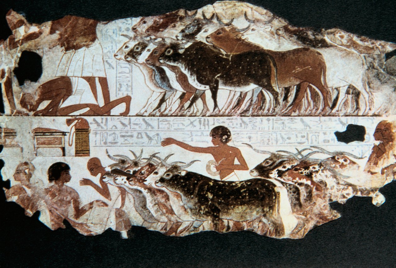 Muurschildering uit het graf van Nebarunun, Thebe, Egypte, ca. 1350 v.Chr. door Unbekannt