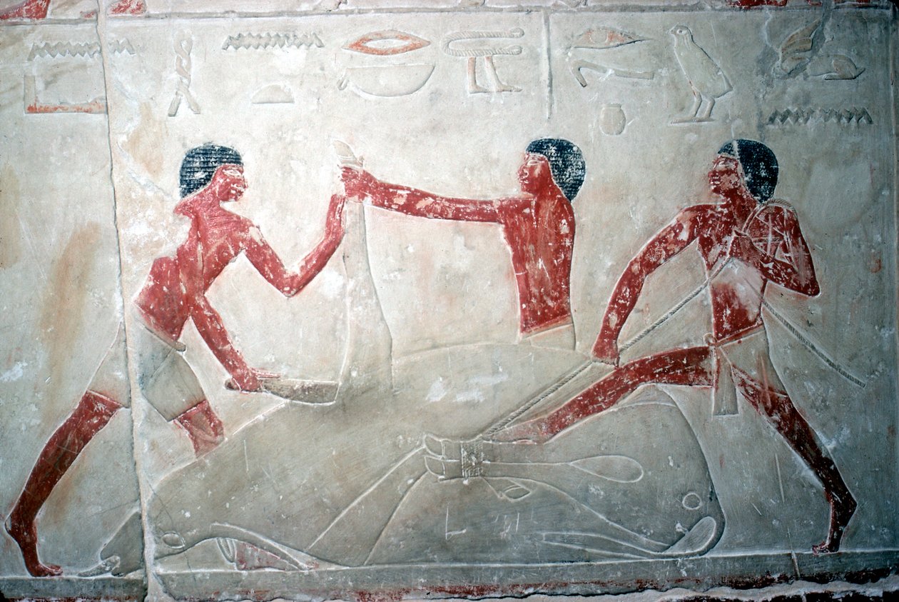 Muurschildering van 3 slagers die een karkas snijden, Graf van Idut, 5e dynastie, ca. 2350 v.Chr. door Unbekannt
