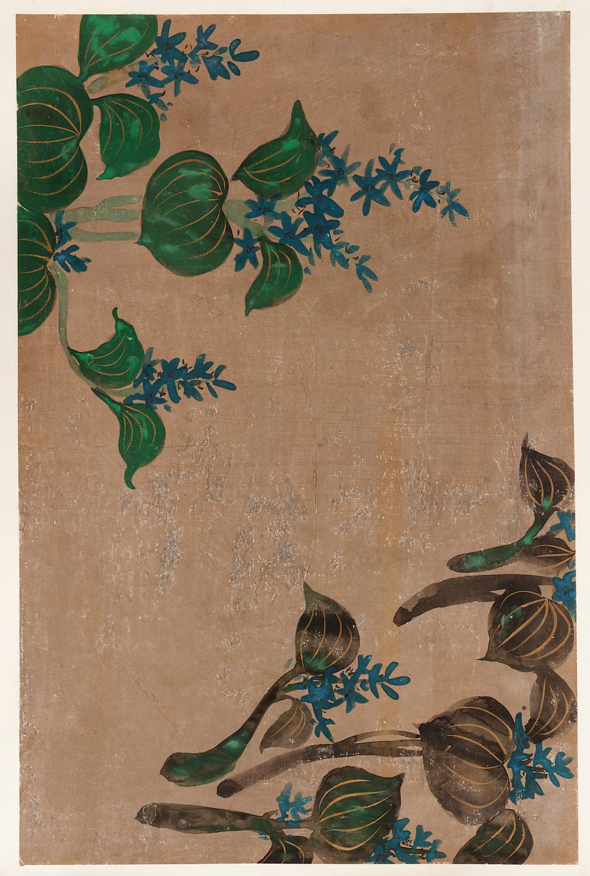 Waterplanten met blauwe bloemen, Edo-periode, 1615-1868 door Unbekannt
