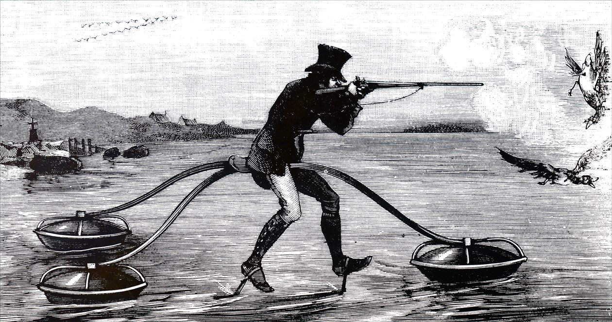 Watervogels jagen op een waterfiets door Unbekannt