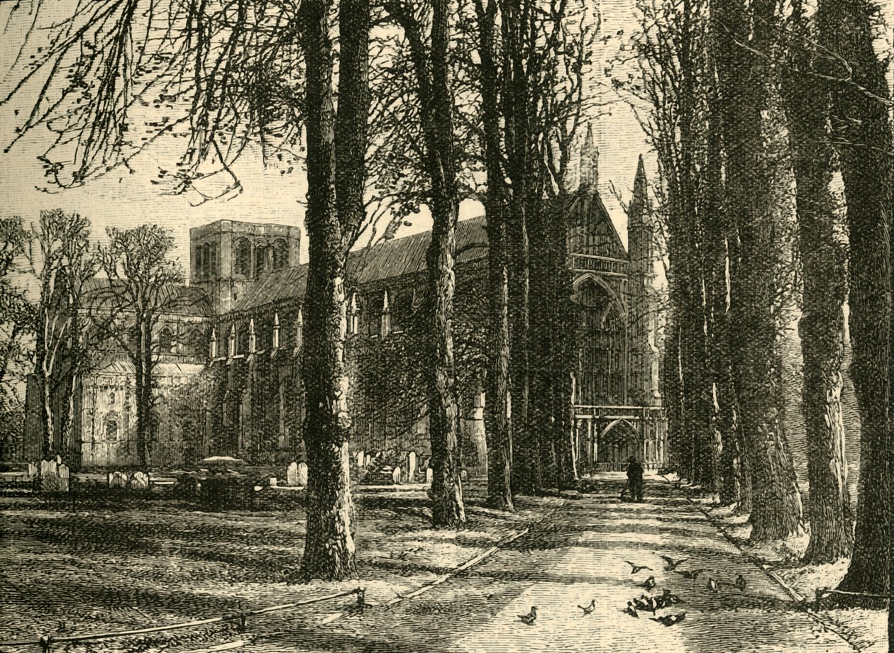 Winchester Cathedral, vanuit het noordwesten door Unbekannt