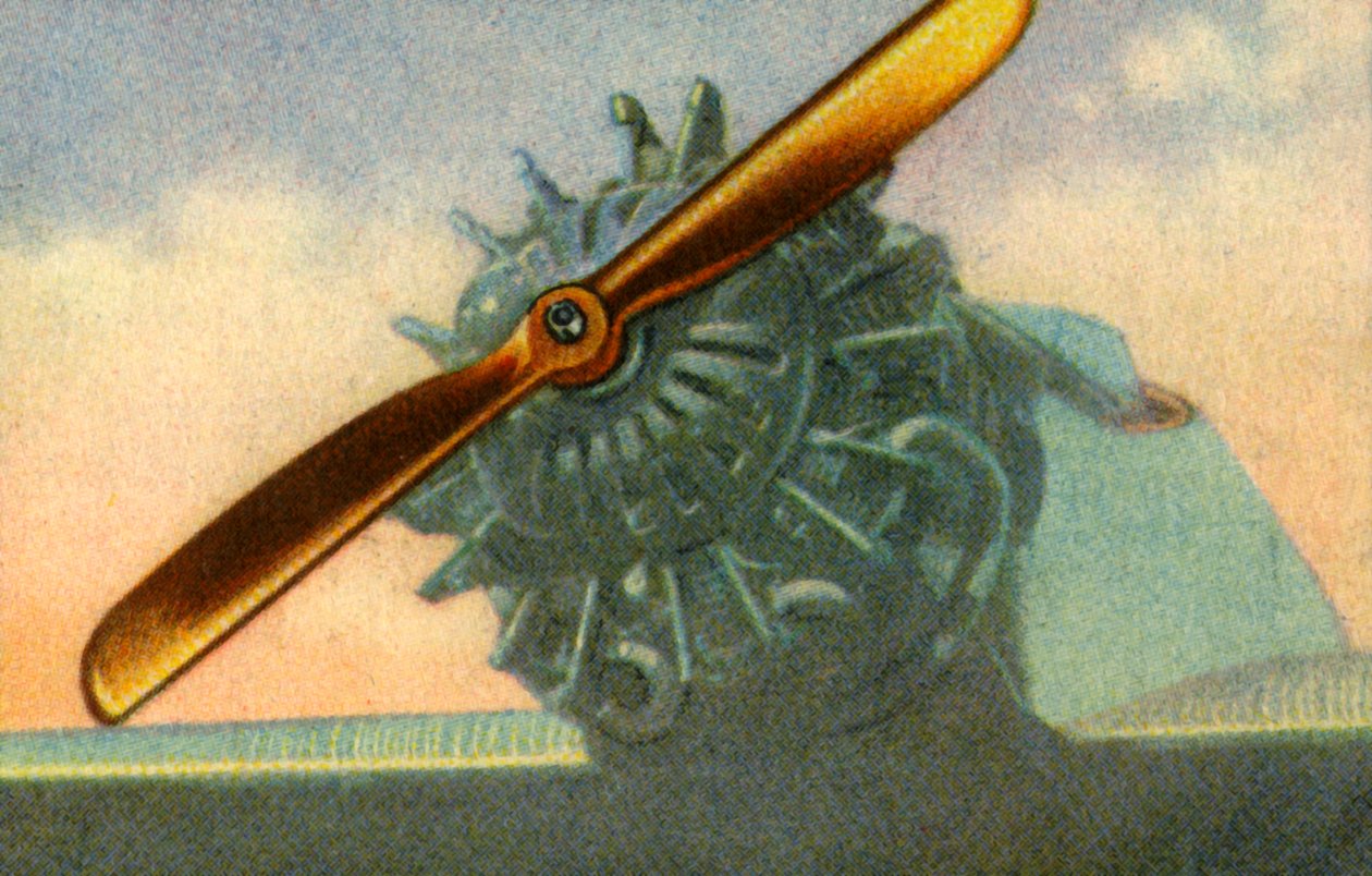 Houten vliegtuigpropeller gemaakt door het bedrijf Schwarz Propeller-Werk, 1932 door Unbekannt
