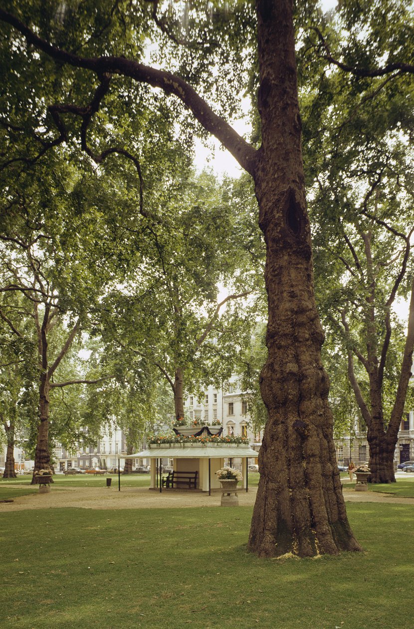 Berkeley Square, Londen W1 door Unbekannt Unbekannt