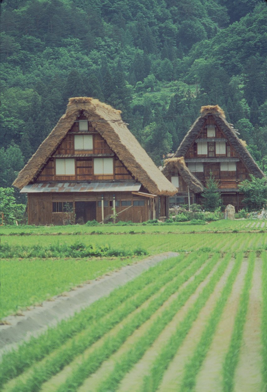 Shirakawa-dorp, Gifu, Japan door Unbekannt Unbekannt