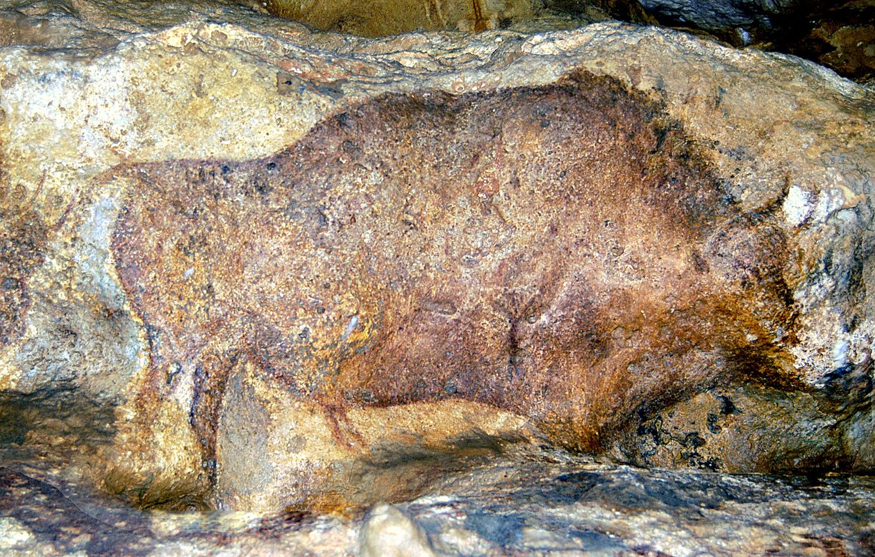 Bison in Font De Gaume, c.25.000 v.Chr. door Unbekannt Unbekannt