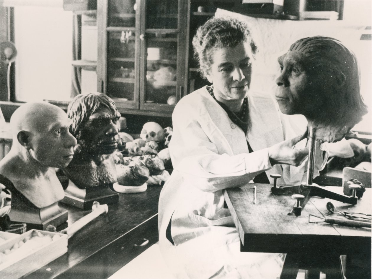 Lucile Swan maakt een model van de schedel van de Peking Man "Nelly" door Unbekannt Unbekannt