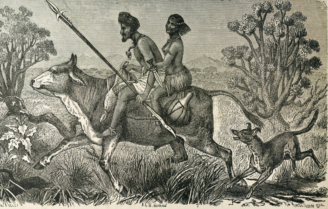 AFRIKA (19e eeuw). Inwoners van Centraal-Afrika. Gravure. door Unbekannter Künstler