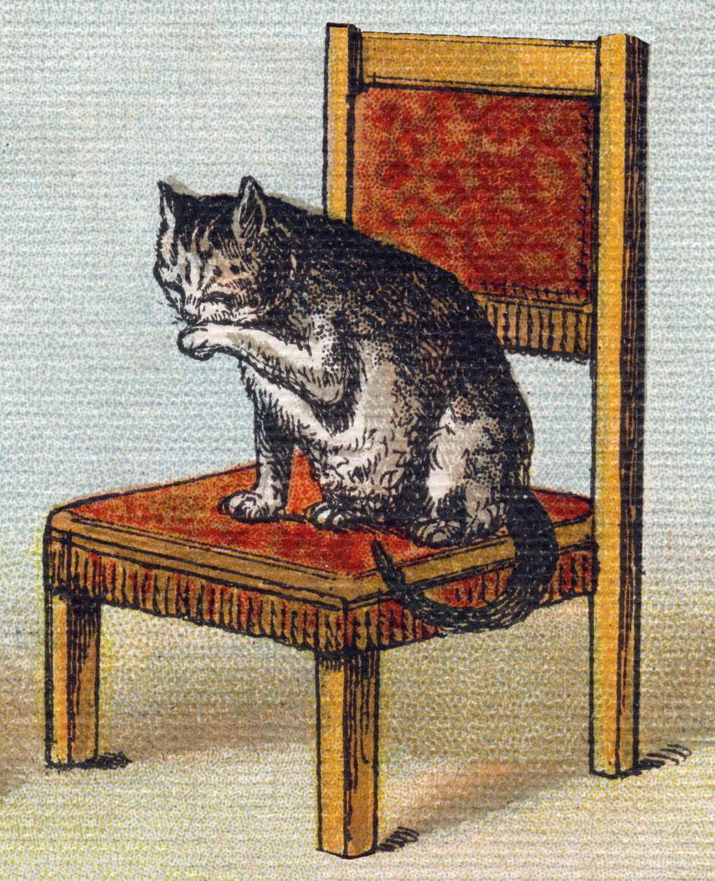 Een kat op een stoel. Gravure in "Alfabet van mijn kleine meisje". Bernardin-Bechet en Fils, boekhandel-uitgevers, Parijs, circa 1895. door Unbekannt