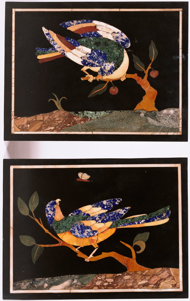Een paar Florentijnse pietra dura panelen die vogels afbeelden door Unbekannt
