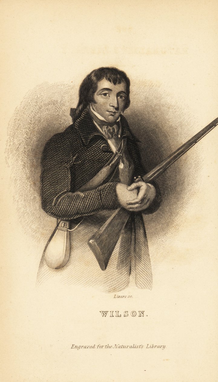 Alexander Wilson, Schots-Amerikaanse ornitholoog, natuuronderzoeker en dichter door Unbekannt