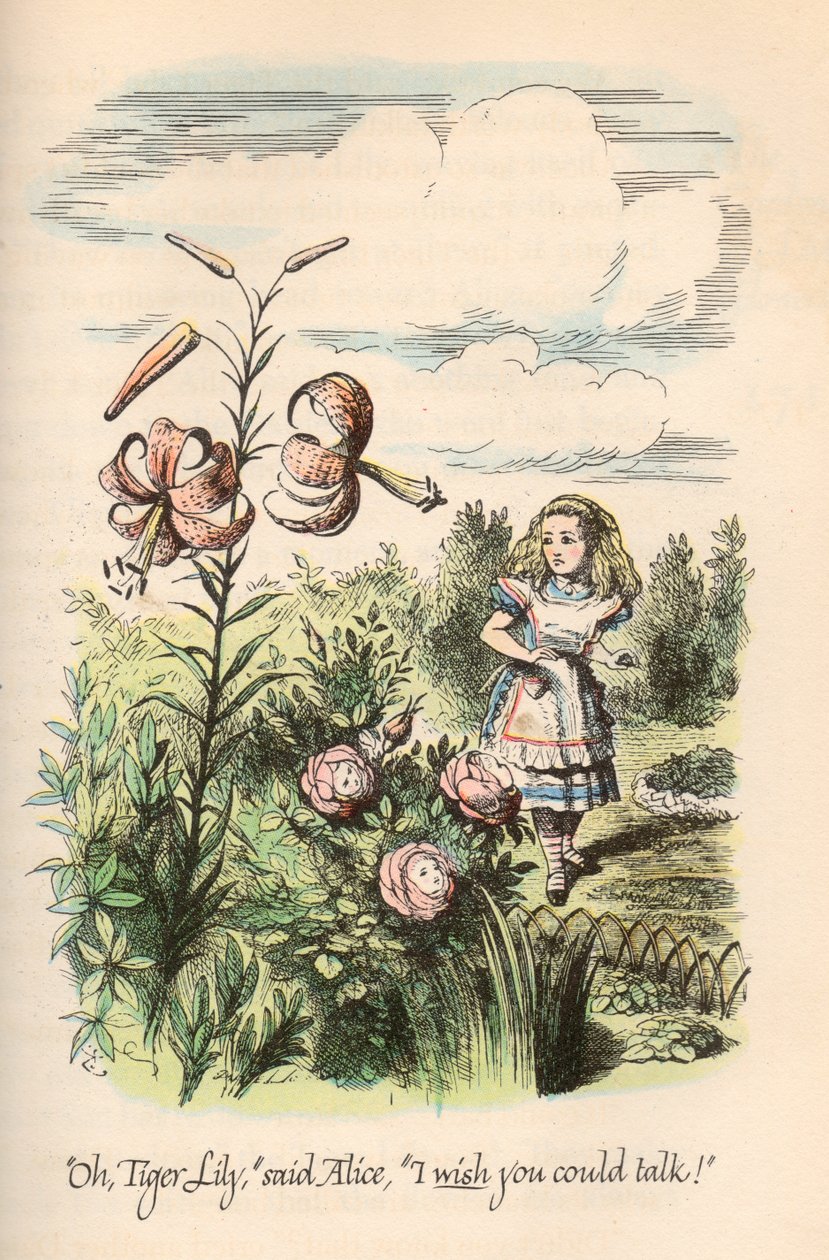 Alice in Wonderland & Through the Looking Glass, door Lewis Carroll, geïllustreerd door John Tenniel door Unbekannt