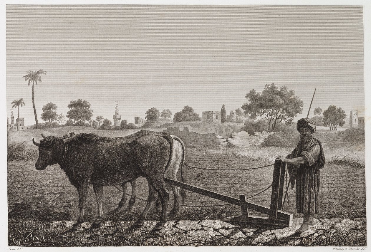 Akkerbouw, Ploegen Ploegen met ossen, Egypte, ca. 1798 door Unbekannt
