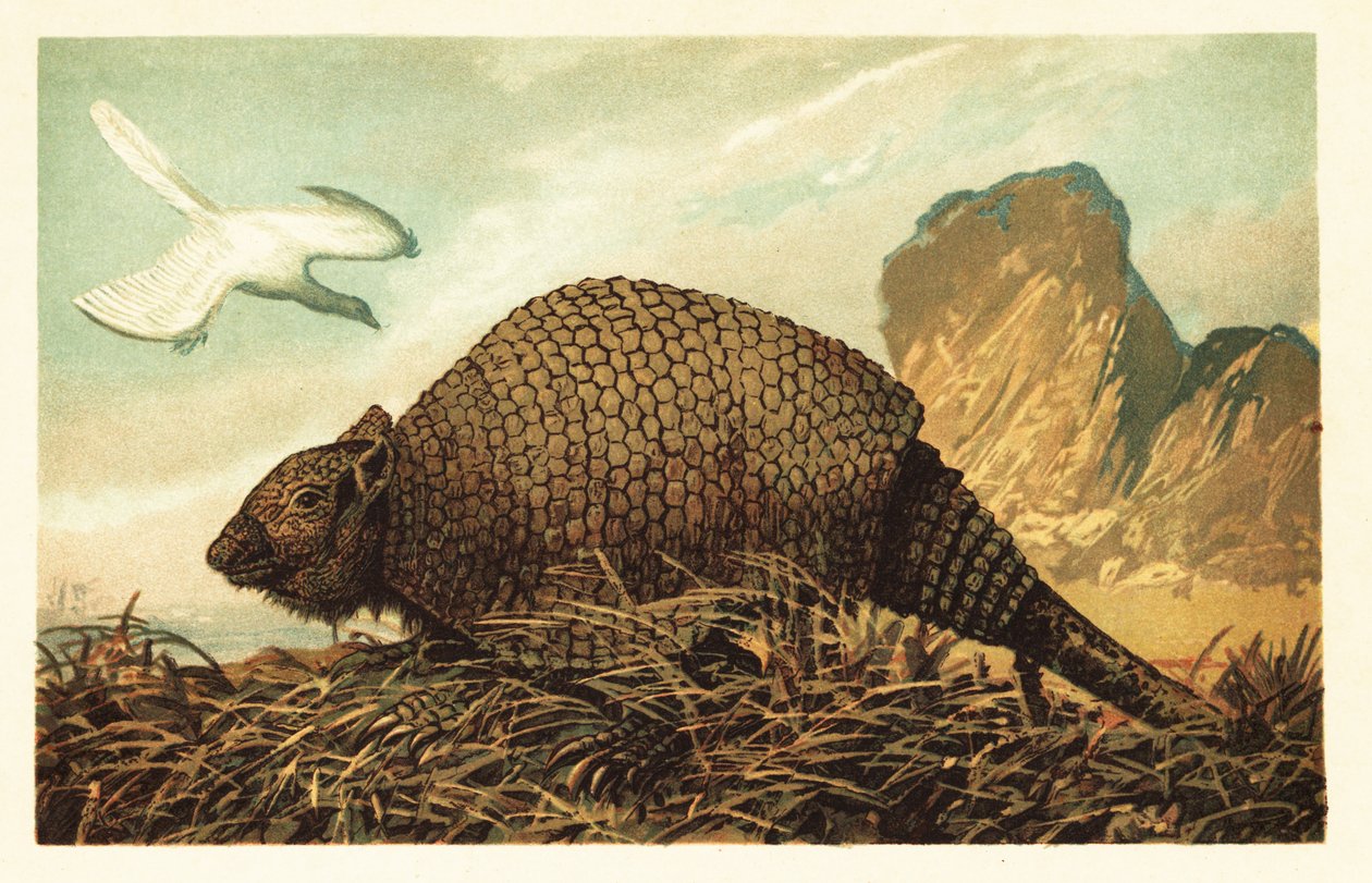 Archaeopteryx lithographica en Panochthus tuberculatus. 1908 (lithografie) door Unbekannter Künstler