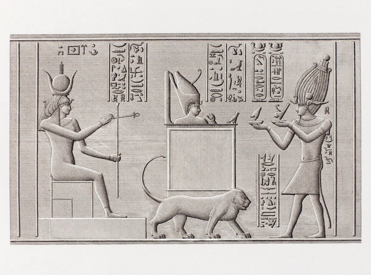 Boek: Beschrijving van Egypte door Unbekannt