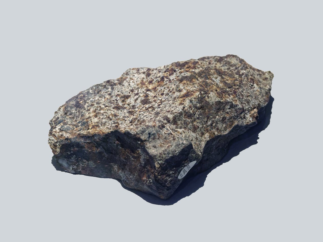 Gewone chondriet (L5). gevallen in Valera (Venezuela) in 1972. Natural History Museum, Londen. door Unbekannt