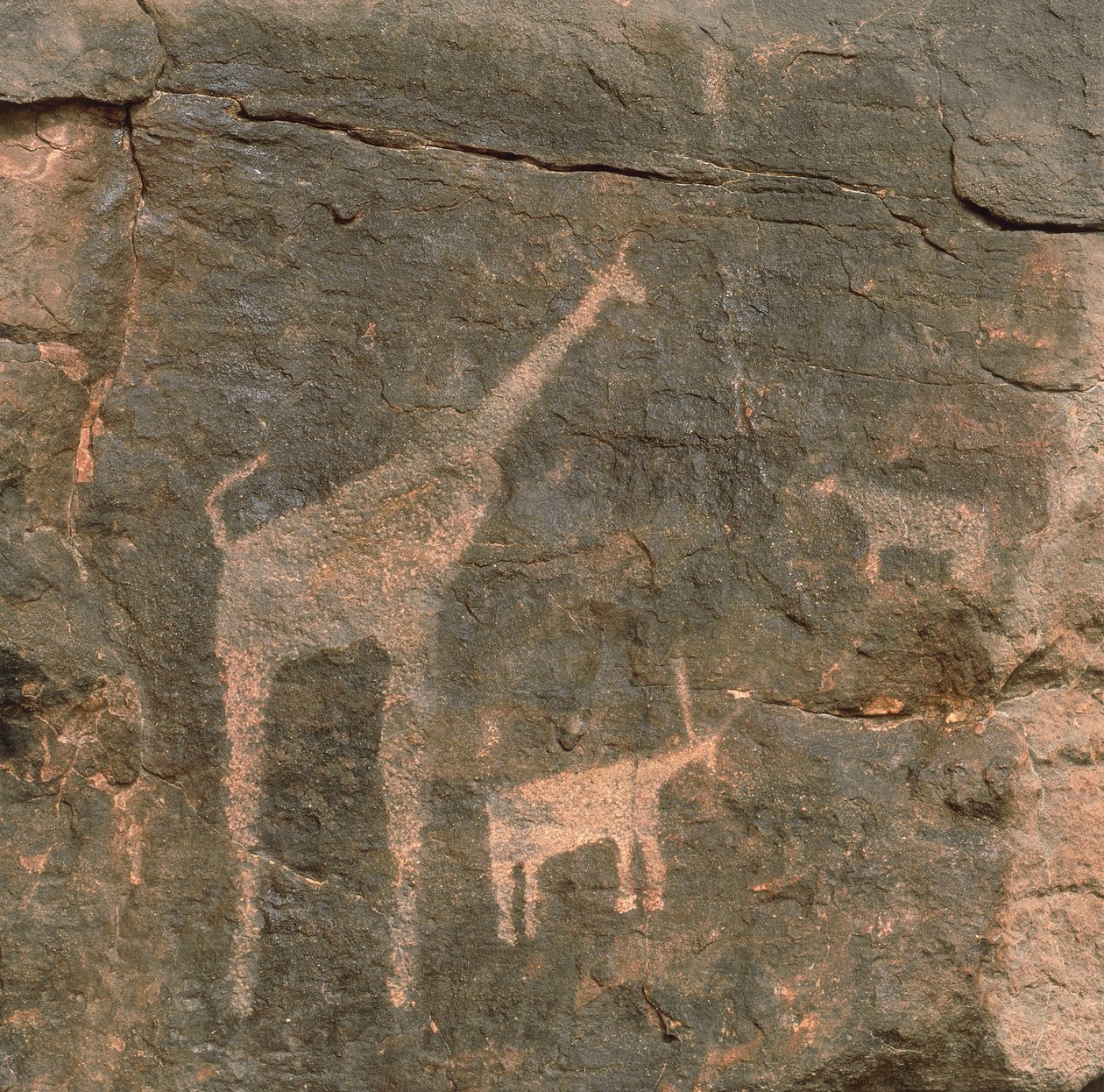 Close-up van prehistorische schilderingen, Tenere Woestijn, Niger door Benjamin Baud