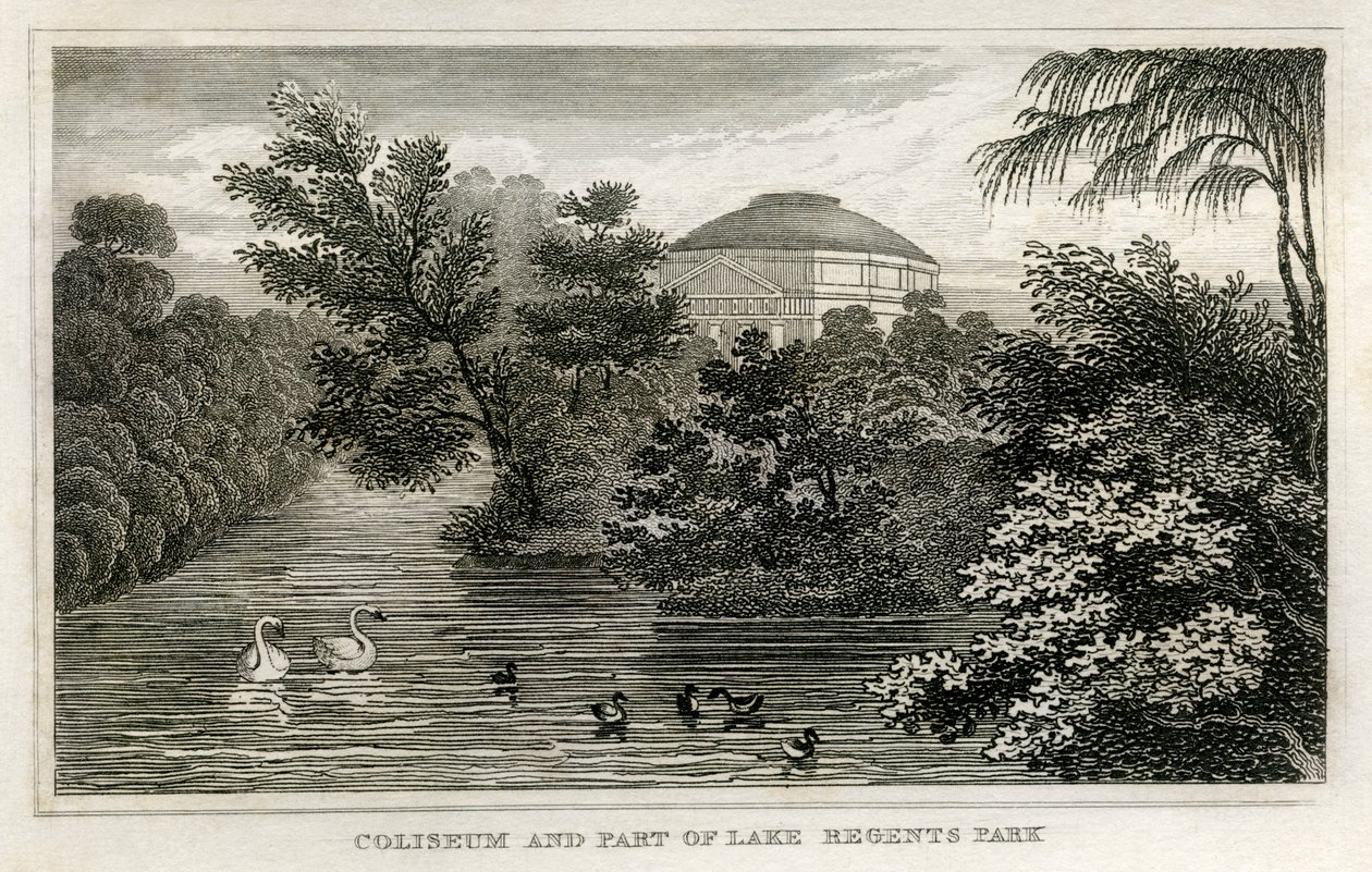 Colosseum en meer, Regent