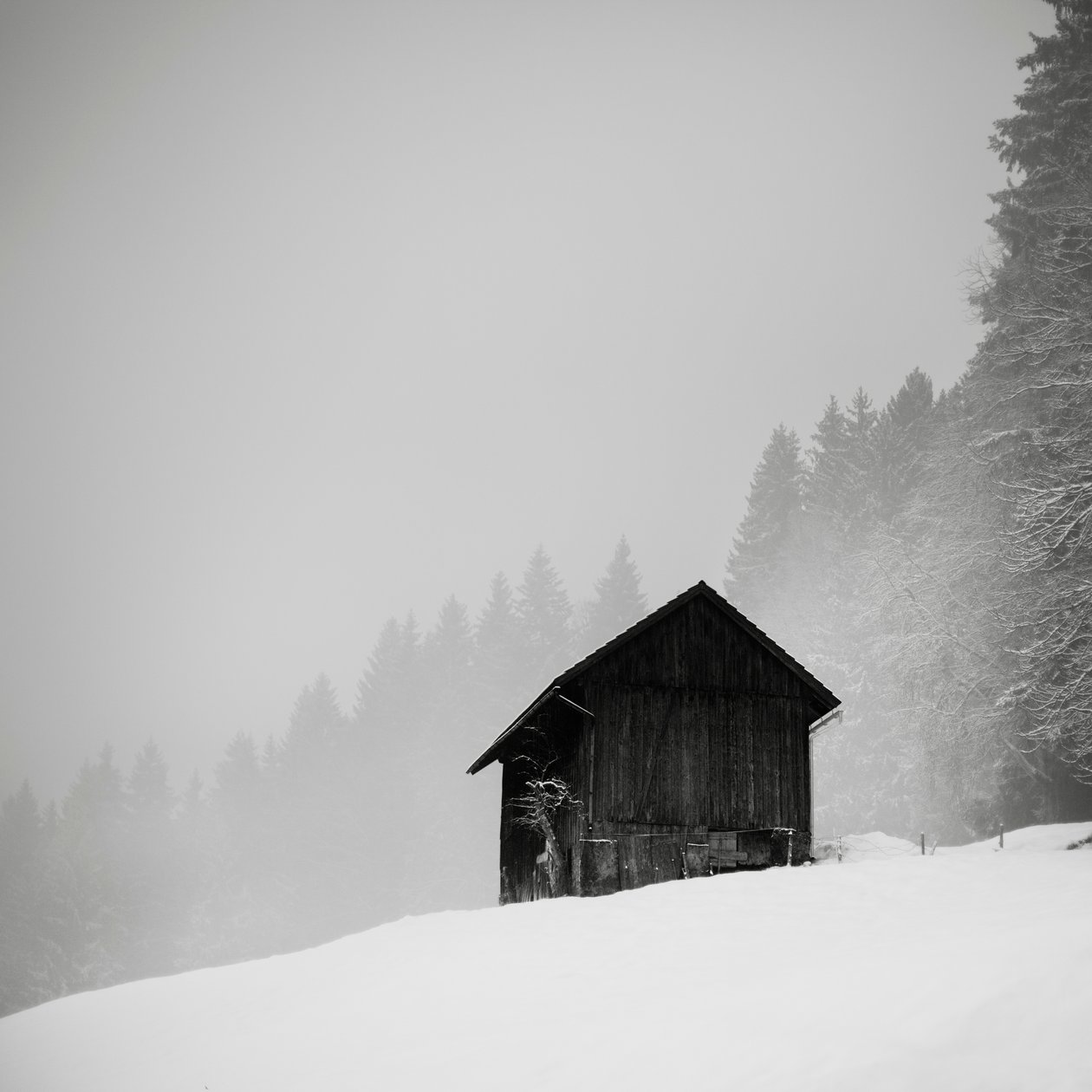 Het Geheim van de Lichting, Oberstaufen, Duitsland, 2013 door Leopold Blonder