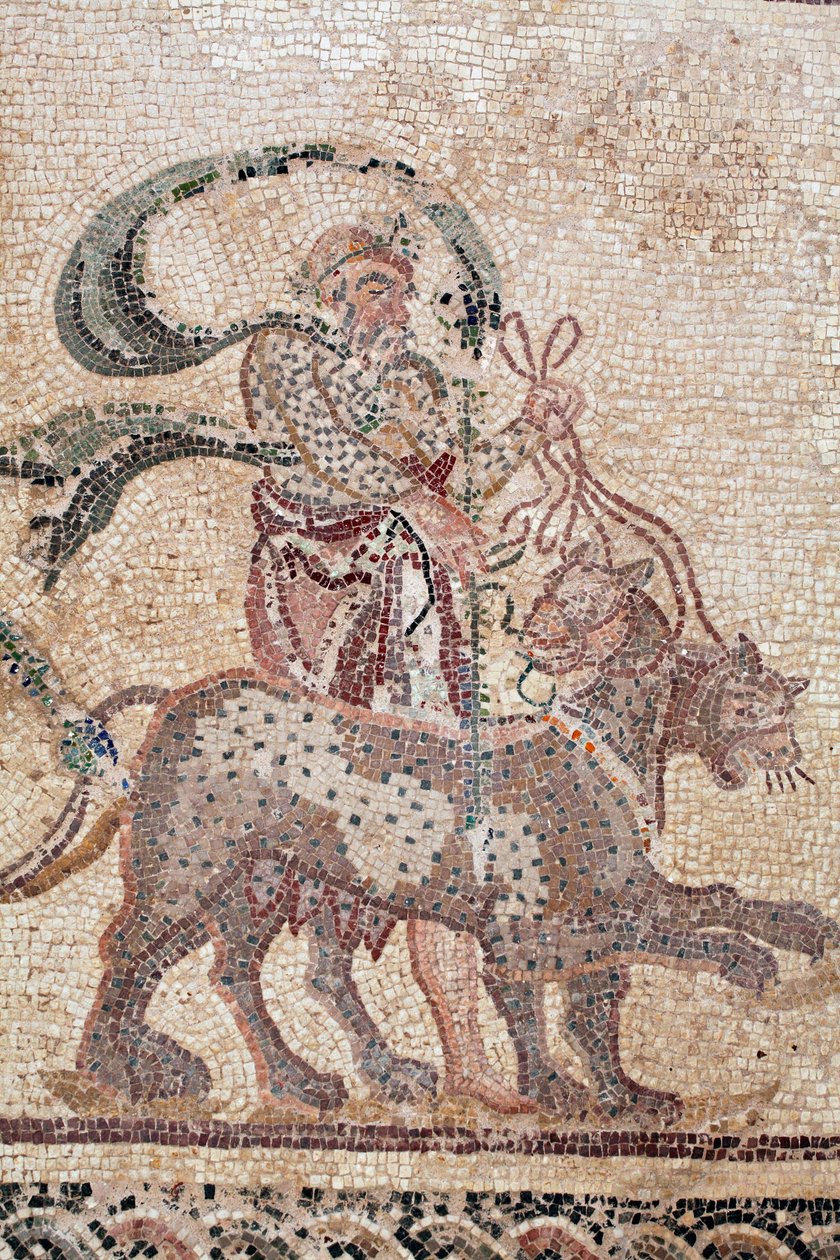 Detail van De Triomf van Dionysos - Terugkeer van de god van een militaire expeditie naar India - Silenus houdt de teugels van de panters vast - Paphos mozaïeken, Huis van Dionysos, Eind 2e eeuw na Christus - Cyprus - De triomf van Dionysos - Lang mozaïek  door William M. Timlin