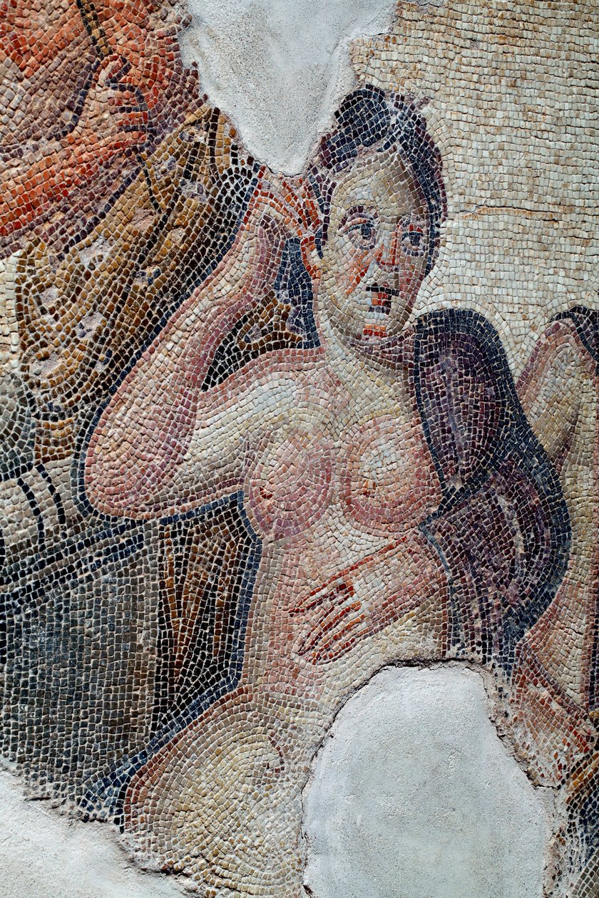 (detail) van het paneel dat Leda, koningin van Sparta, toont in gezelschap van de Lacedaemonische meisjes, op het punt om een bad te nemen in de Eurotas-rivier - Ze wordt benaderd door Zeus vermomd als zwaan - Paphos Mozaïeken, Huis van Aion, 3e eeuw na Ch door Unbekannter Künstler