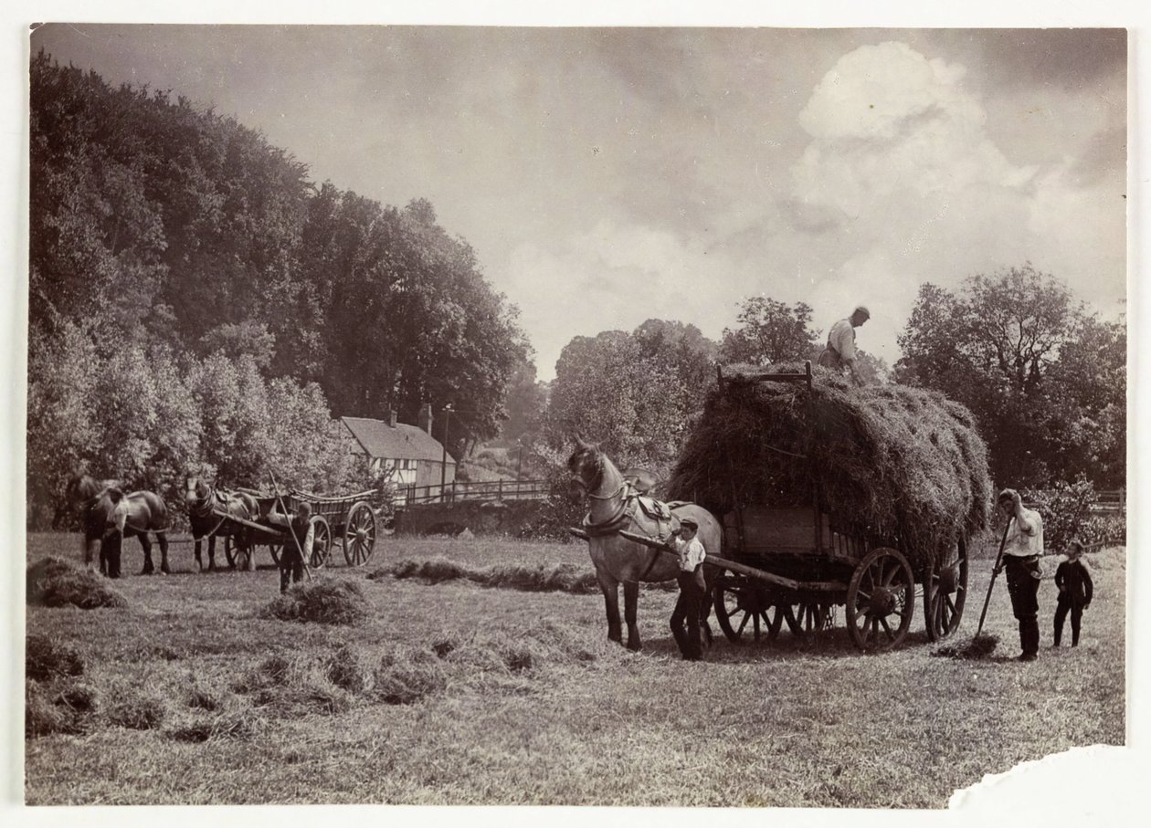 Landbouwscènes, Oogsten & Opslag, Pre-1900 Hooien, ca. 1890 door Unbekannt