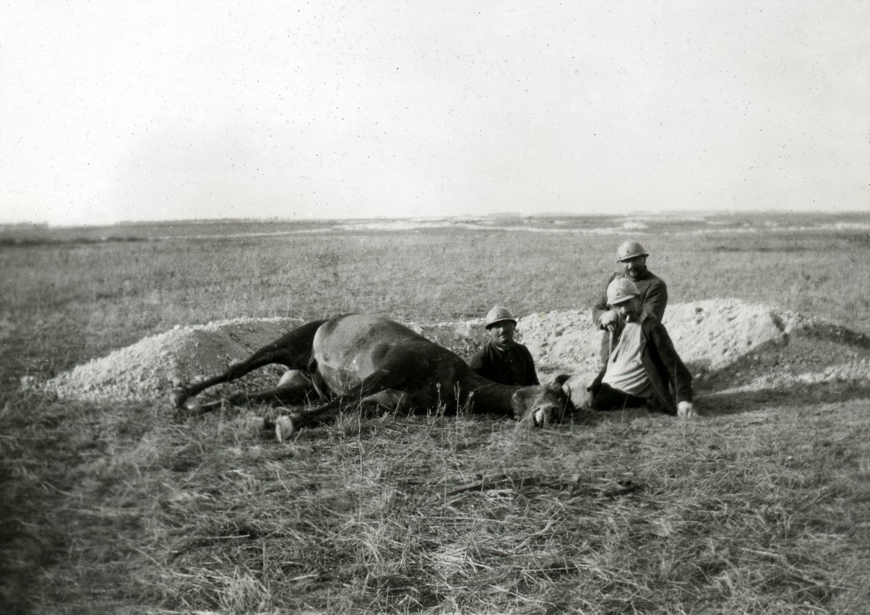 Eerste Wereldoorlog 14-18 (1914-1918): drie Franse soldaten begraven een dood paard - foto op glasplaat - door Unbekannter Künstler