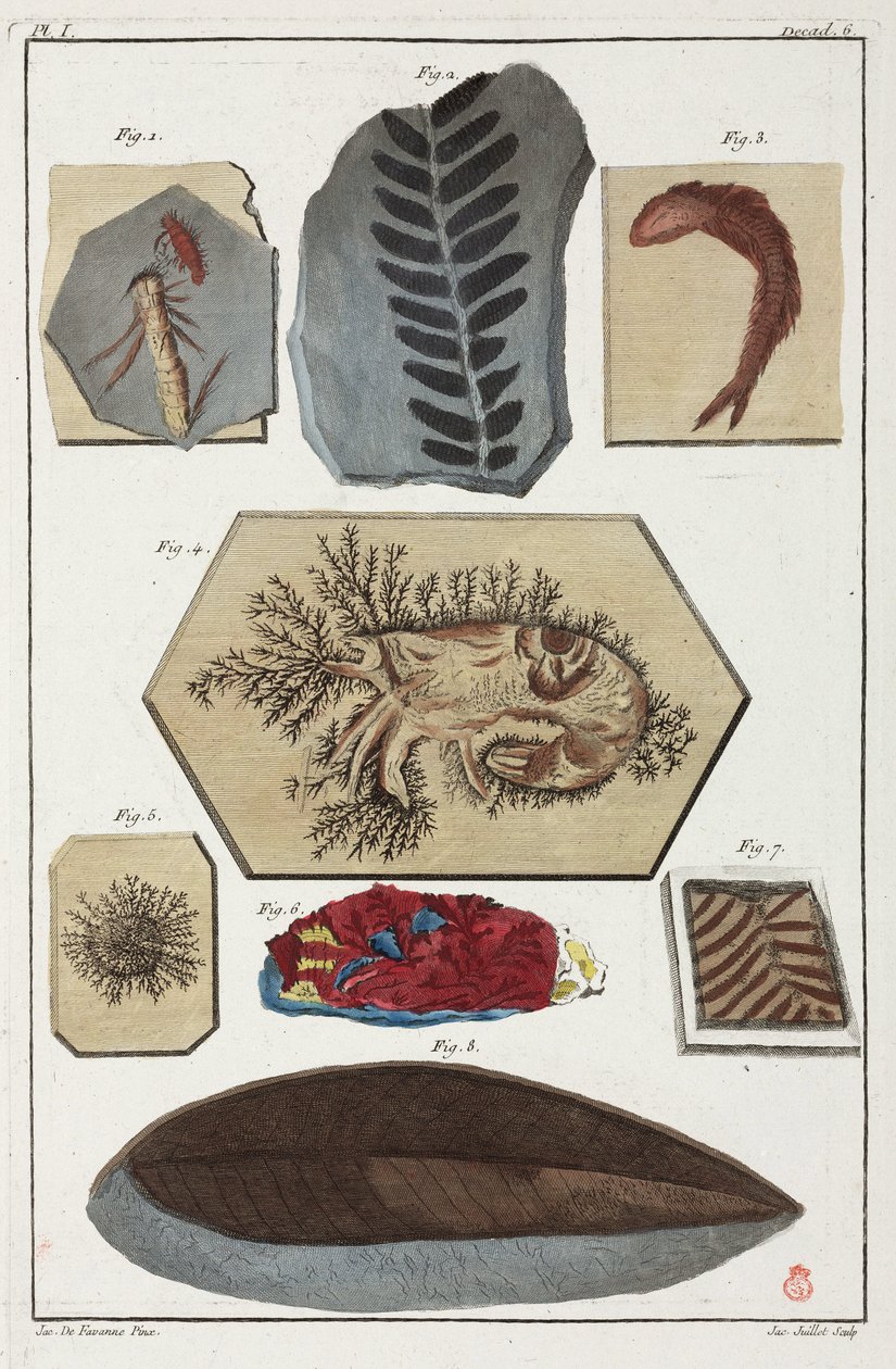 Fossielen, prehistorisch door Unbekannt