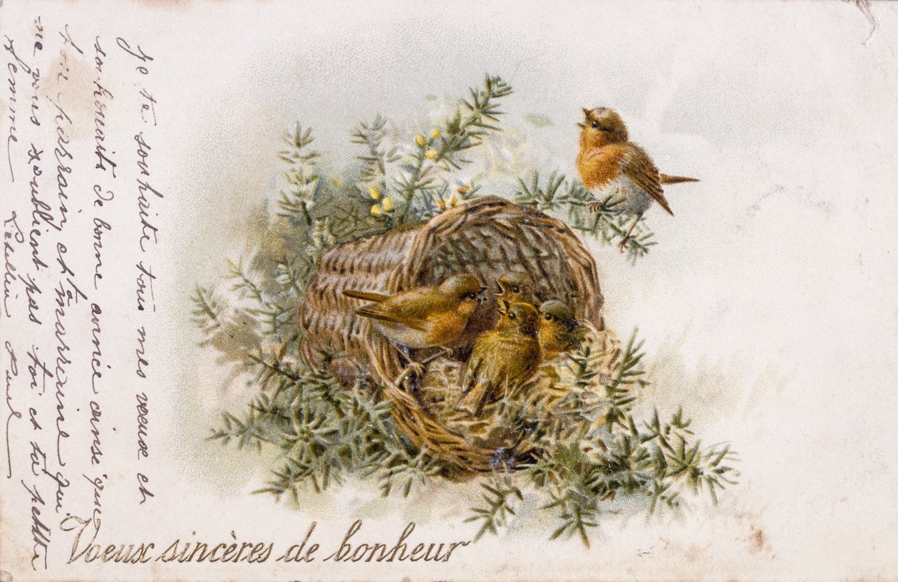 Franse wenskaart met roodborstje en nest elementen door Unbekannter Künstler