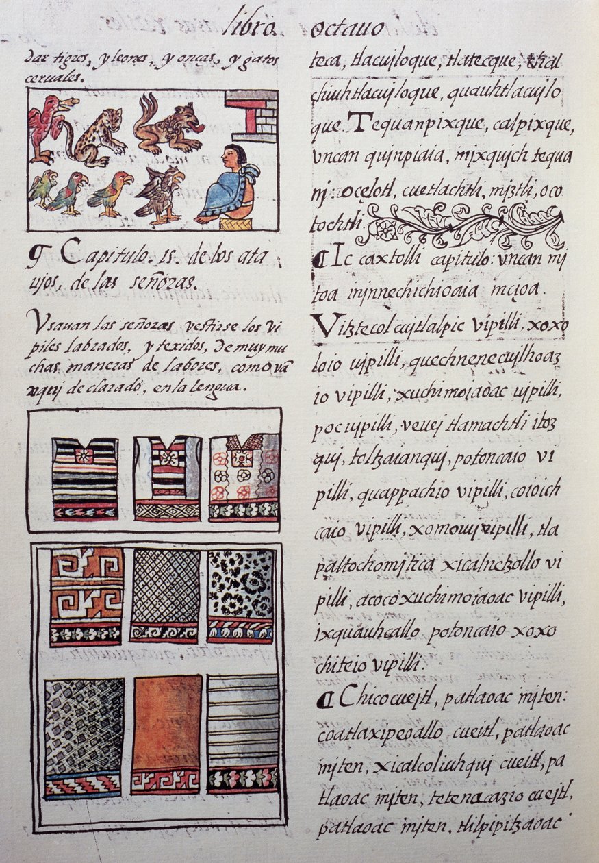 Huipil, vrouwelijk kledingstuk gedragen door adel met geborduurde blouses, Boek VIII van de Florentijnse Codex, Algemene Geschiedenis van de Dingen van Nieuw-Spanje door William M. Timlin