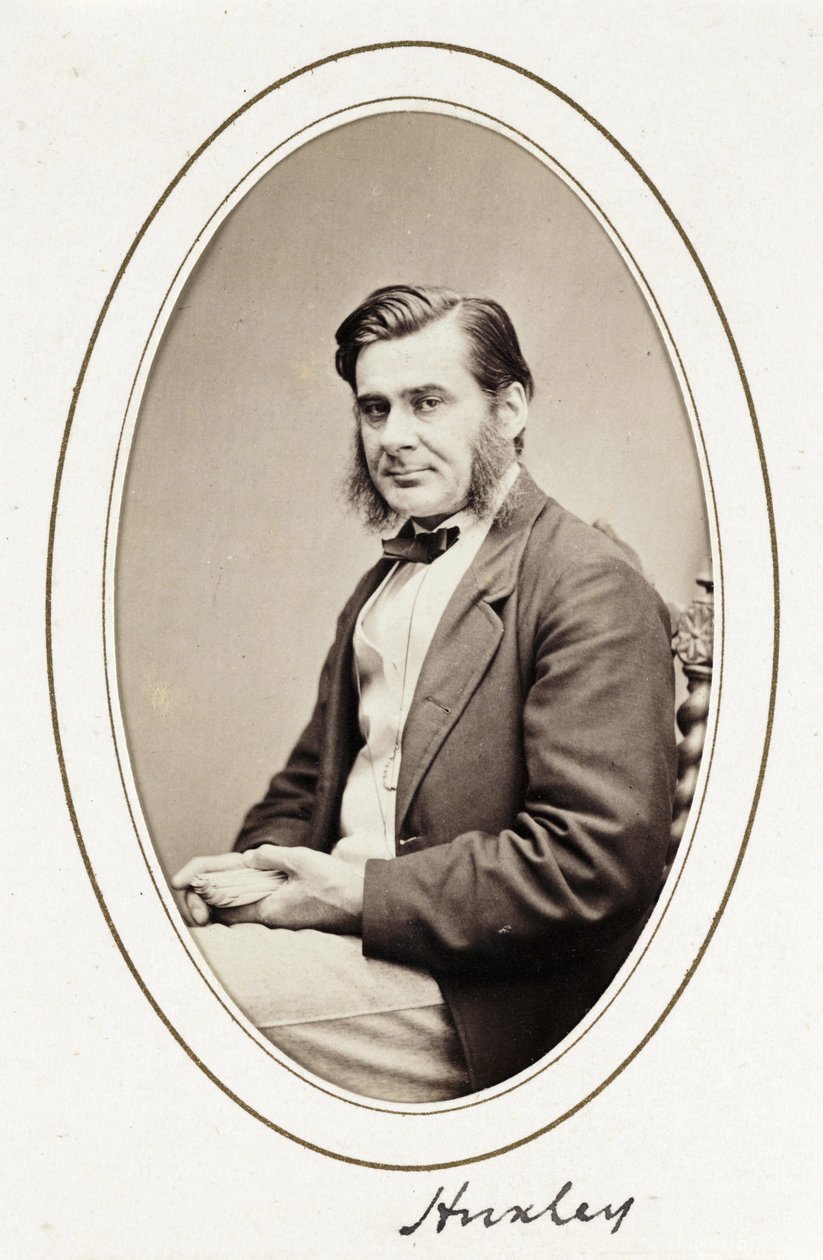 Huxley, ca. 1865 door Unbekannt