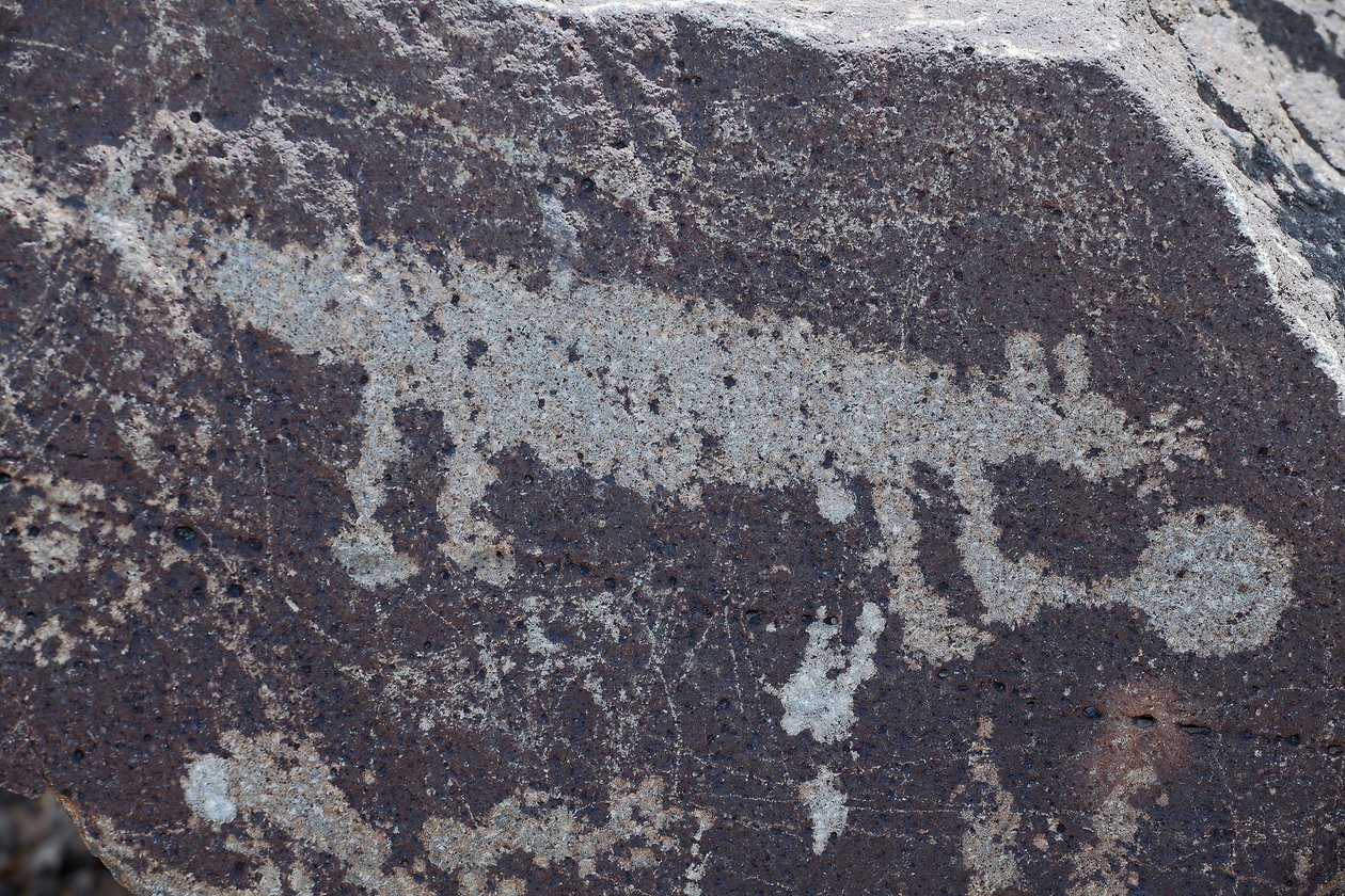 Indiase Petroglyfen die dieren voorstellen - Petroglyph National Monument - Albuquerque, New Mexico, VS door William M. Timlin