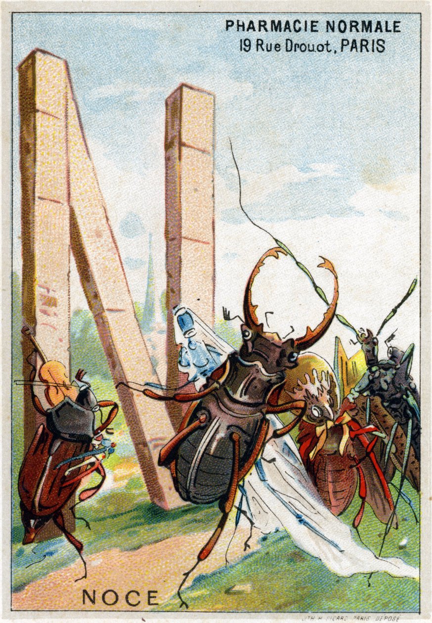 Letter N zoals een bruiloft. Artistiek alfabet van Mr. Marinier. Uitgegeven door Henry Sicard, eind 19e eeuw. Reclamechromolithografieën voor producten verkocht in apotheken. door Unbekannt