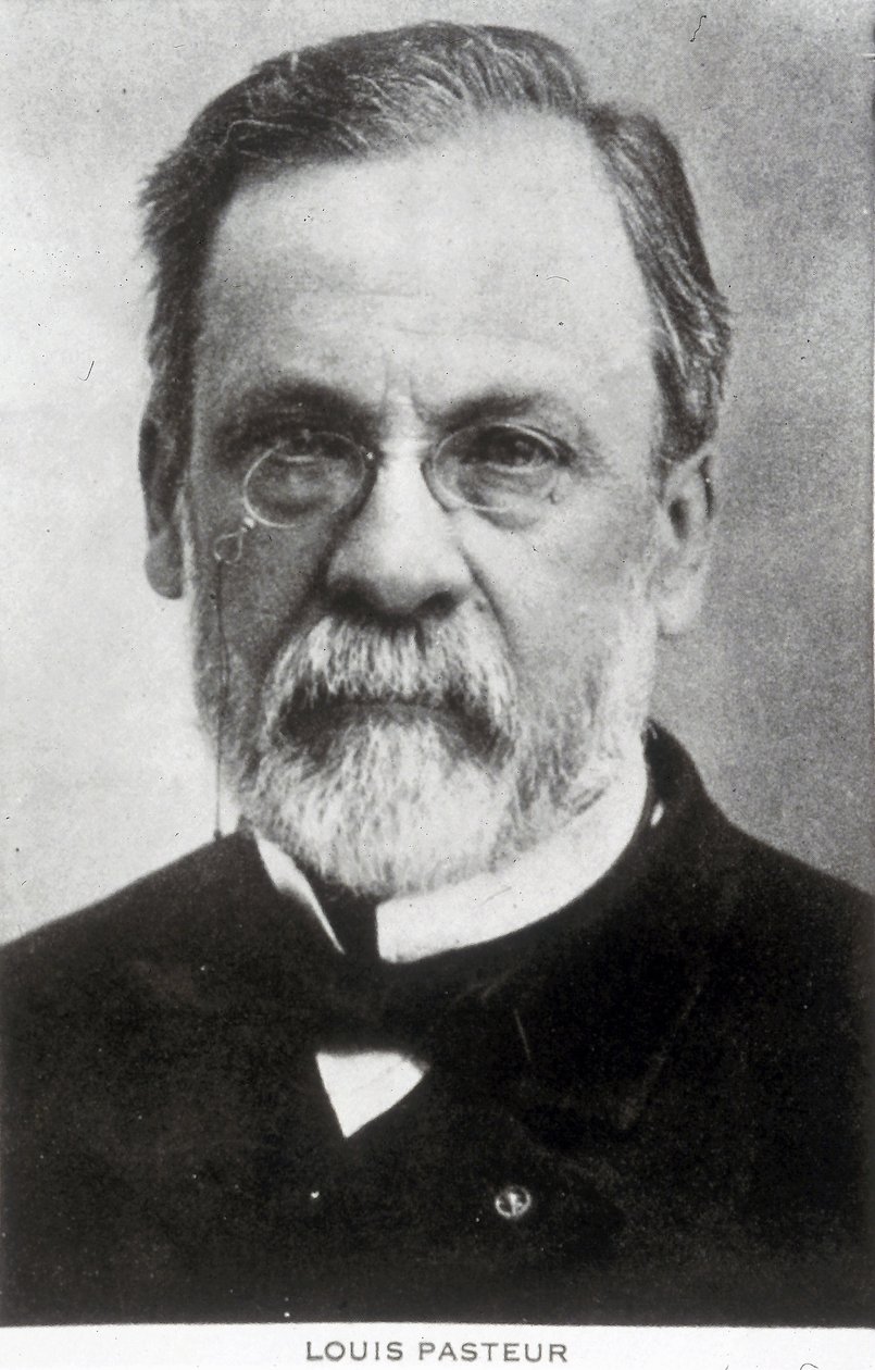 Louis Pasteur, Franse chemicus en microbioloog, ca. 1885 door Unbekannter Künstler