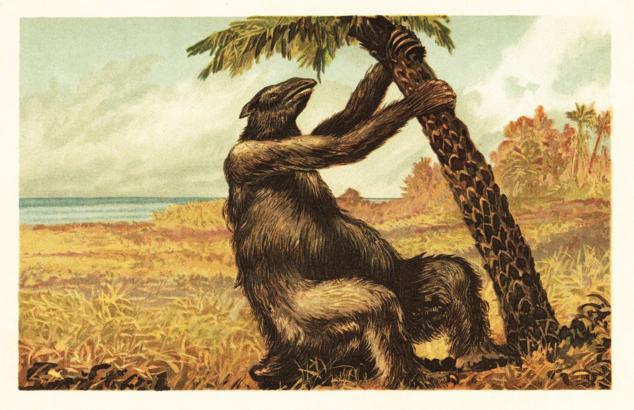 Megatherium americanum trekt aan een palmboom door Unbekannter Künstler