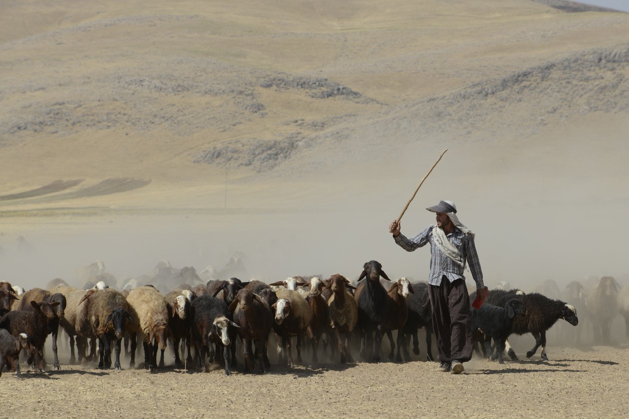 Nomadententen tussen Tamar en Ashkhaneh, Iran 2022 door Unbekannter Künstler