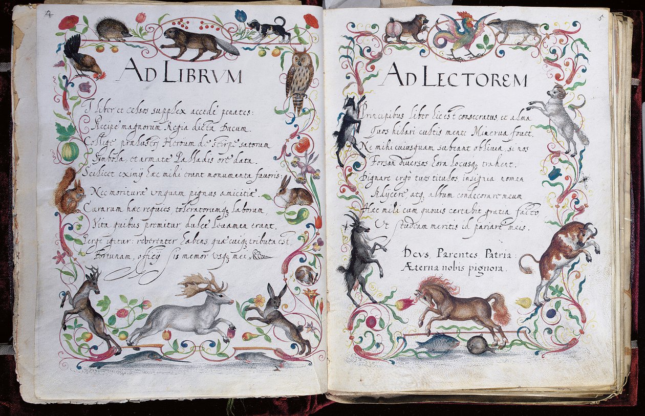 Pagina