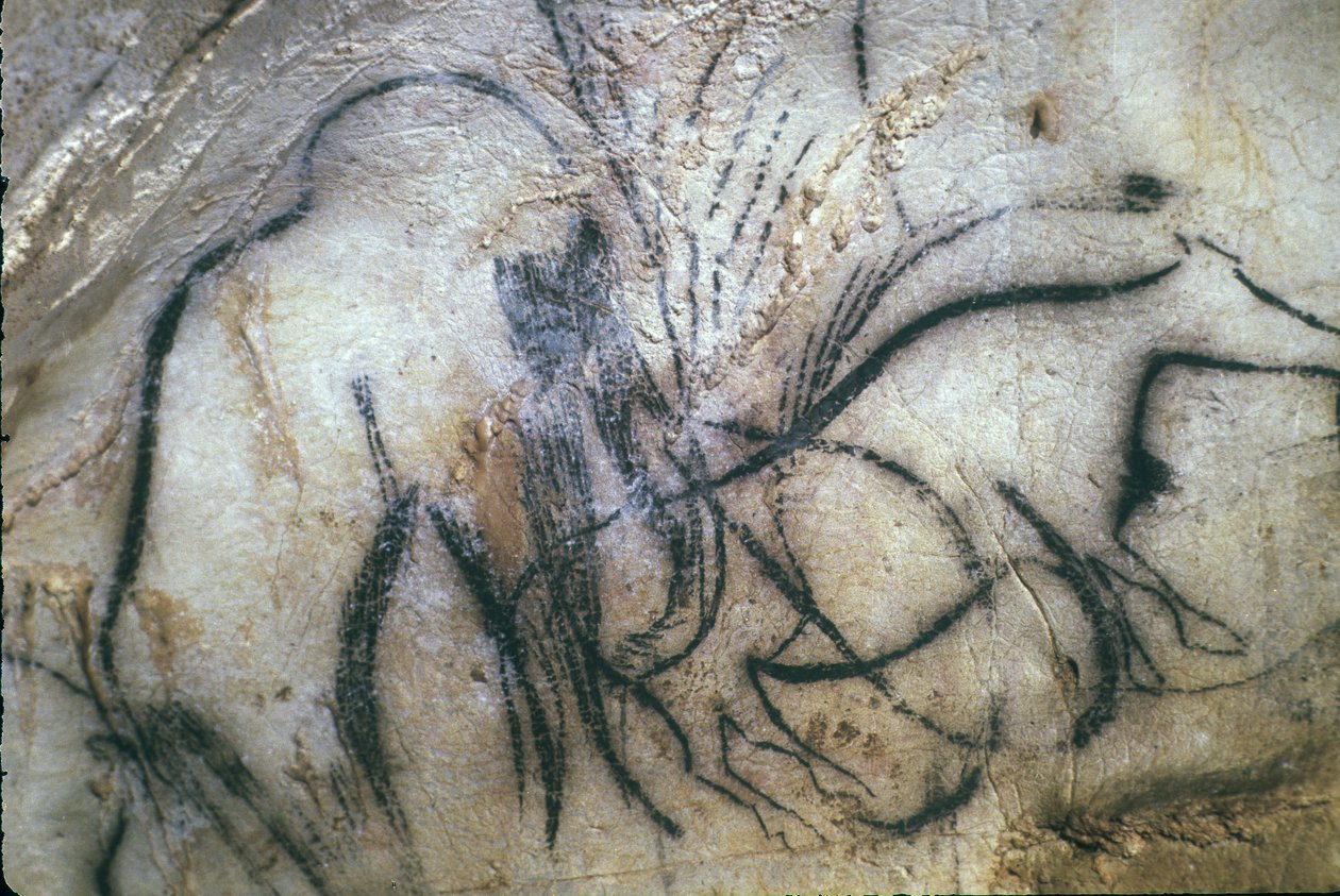 Prehistorische grot van Pech Merle/ Kapel van de mammoeten/ 25.000 jaar/ Cabrerets/ Lot/ Midi Pyrenees/ Frankrijk door Unbekannt