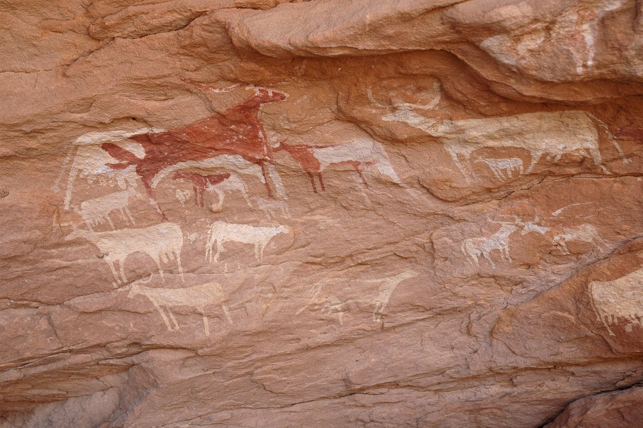 Rotstekeningen, Prehistorie: Schildering van een groep vee in een versierd onderkomen, in het Uweinat-massief, Soedan. Fotografie door Unbekannt