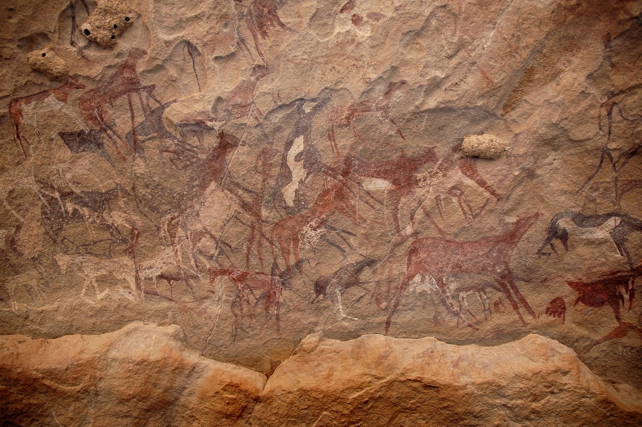 Rotstekeningen, Prehistorie: Rotsschildering van een groep runderen en polychrome personages in een versierd onderkomen, in het Uweinat-massief, Soedan. Periode van 8000 tot 3000 jaar v.Chr. Fotografie door Unbekannt