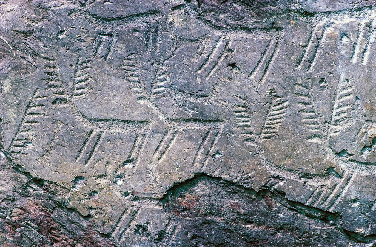 Rotstekeningen in het Massi di Cemmo Nationaal Archeologisch Park, Val Camonica (Unesco Werelderfgoedlijst) door William M. Timlin