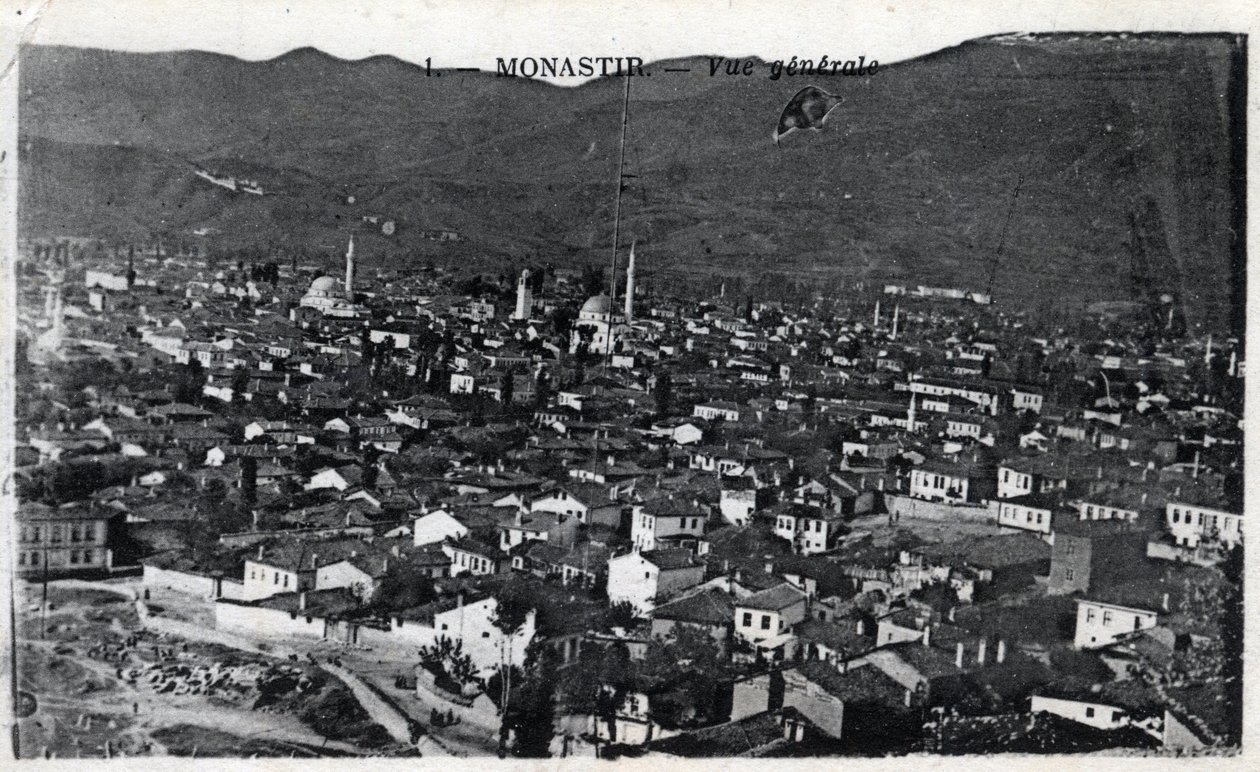 Servië, Monastir: algemeen uitzicht op de stad, Monastir wordt nu Bitola genoemd en ligt in Macedonië - Ansichtkaart 1914-1918 door William M. Timlin