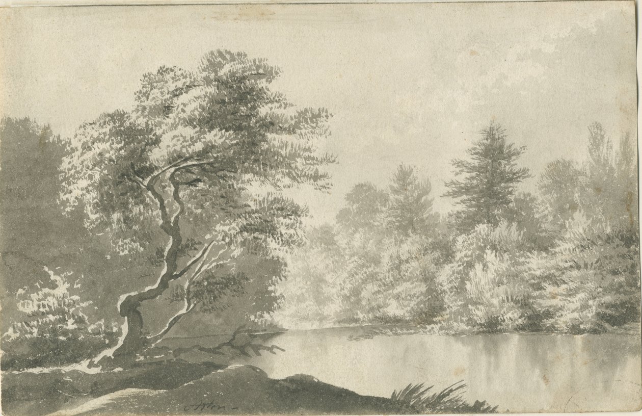 Shenstone - Vijver bij Little Aston: sepia was tekening, nd [19e eeuw] door Unbekannt