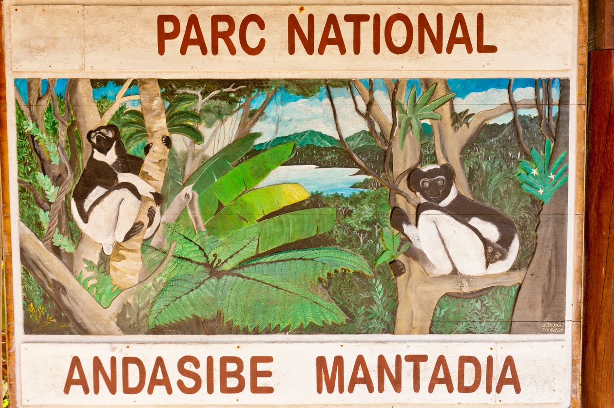 Bord met lemuren in de jungle, Andasibe-Mantadia Nationaal Park, Madagaskar, Afrika door Unbekannt